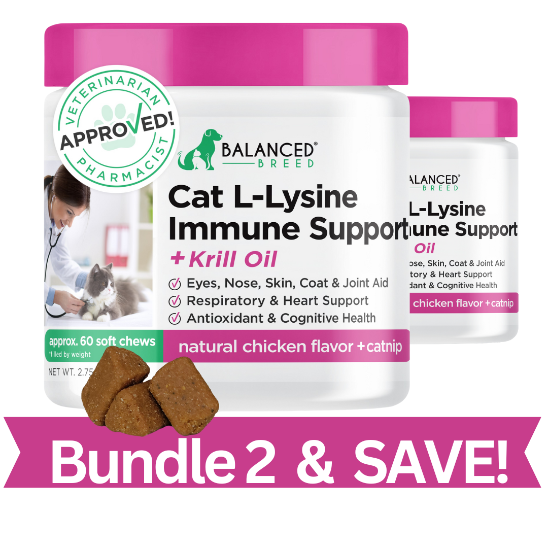 2 PACK: Balanced Breed® Cat L-Lysine Immune Support