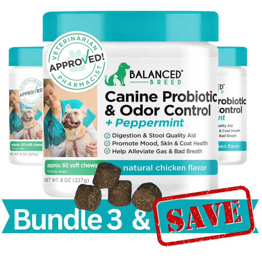3 PACK: Balanced Breed® Canine Probiotic & Odor Control