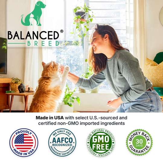 Balanced Breed® Cat L-Lysine Immune Support
