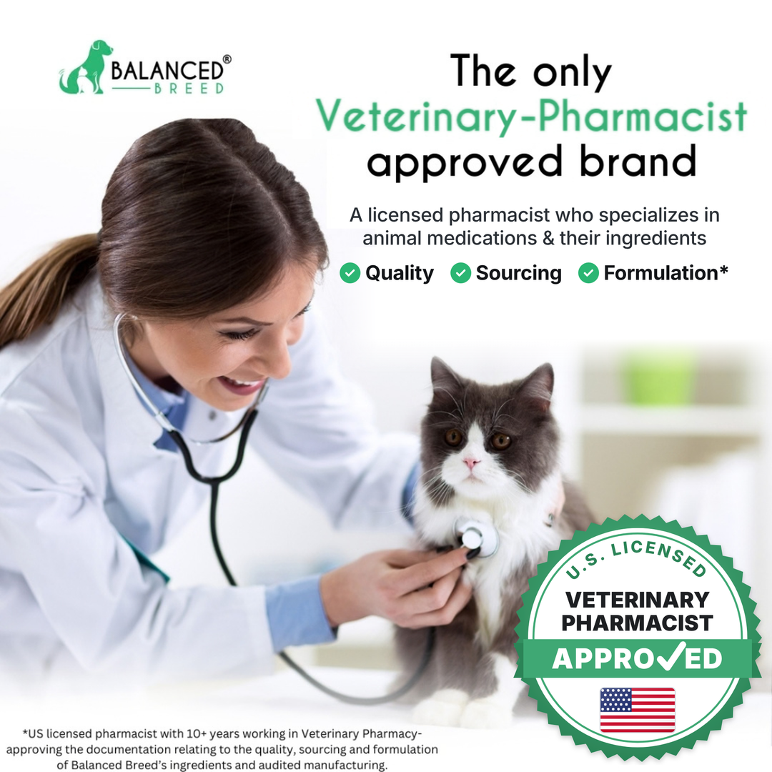 Balanced Breed® Cat L-Lysine Immune Support