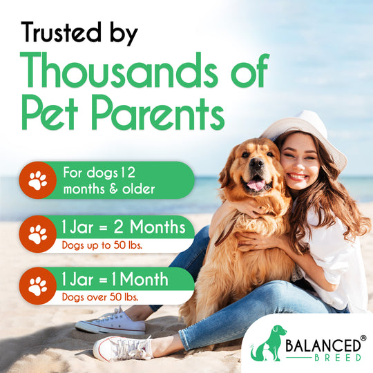 3 PACK: Balanced Breed® All-In-1 Canine Multivitamin - Balanced Breed